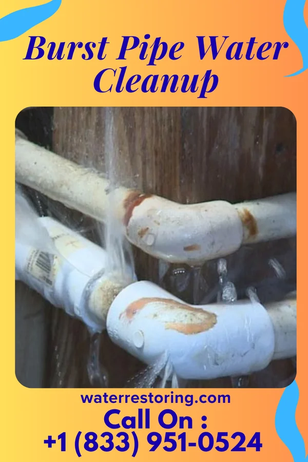 Burst Pipe Water Cleanup in North Hodge, LA