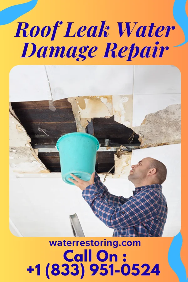Roof Leak Water Damage Repair in North Hodge, LA